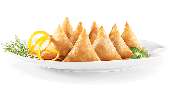 Signature Samosa and Spring Rolls