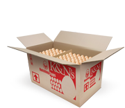 Broiler Hatching Eggs